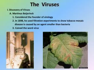 The Viruses