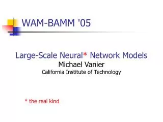 WAM-BAMM '05