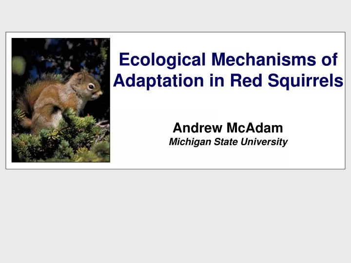 ecological mechanisms of adaptation in red squirrels