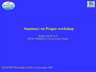Summary on Prague workshop