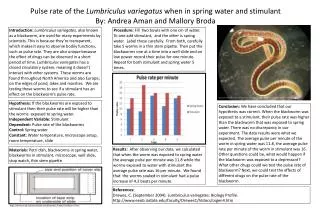 Pulse rate of the Lumbriculus variegatus when in spring water and stimulant