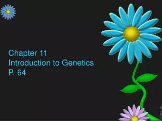 Chapter 11 Introduction to Genetics P. 64