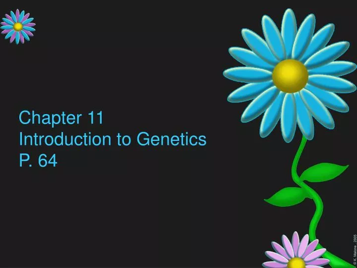 chapter 11 introduction to genetics p 64