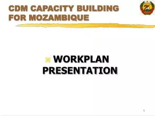CDM CAPACITY BUILDING FOR MOZAMBIQUE