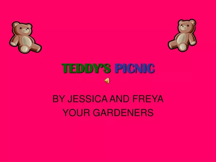 teddy s picnic
