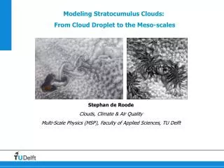 Modeling Stratocumulus Clouds: From Cloud Droplet to the Meso-scales