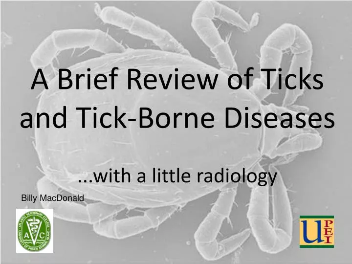 a brief review of ticks and tick borne diseases with a little radiology