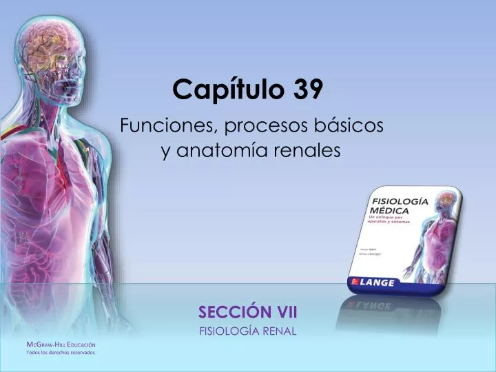 cap tulo 39 funciones procesos b sicos y anatom a renales