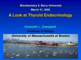 Biochemistry II, Barry University March 31, 2005 A Look at Thyroid Endocrinology