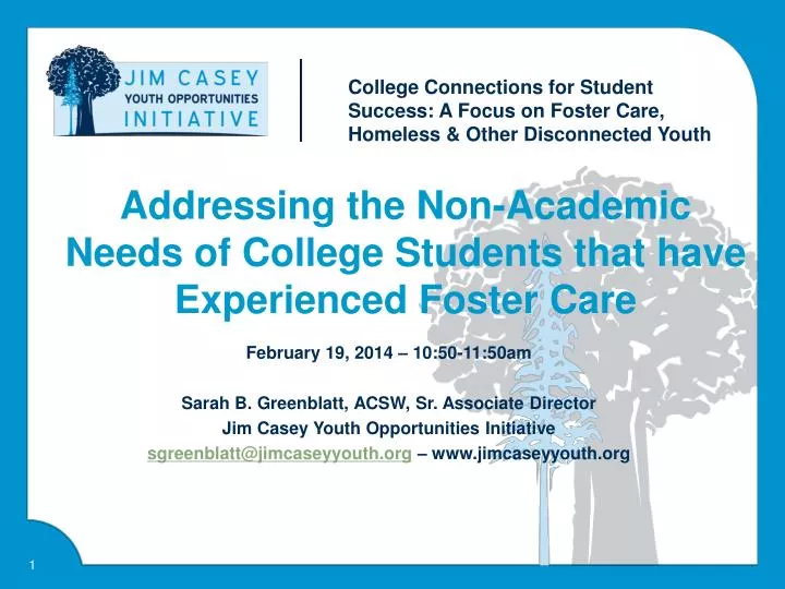 addressing the non academic needs of college students that have experienced foster care