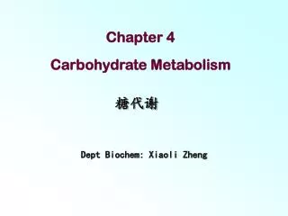 Chapter 4 Carbohydrate Metabolism