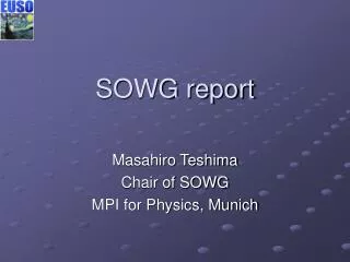 SOWG report