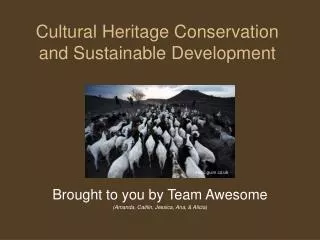 Cultural Heritage Conservation and Sustainable Development