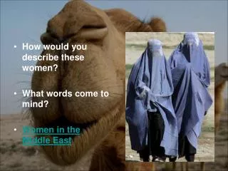 How would you describe these women? What words come to mind? Women in the Middle East