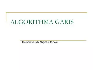 algorithma garis