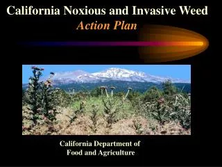 California Noxious and Invasive Weed Action Plan