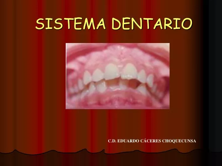 sistema dentario