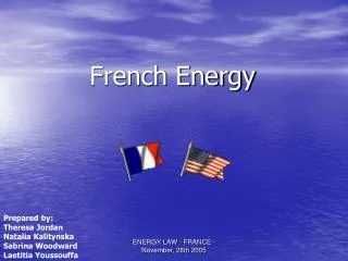 French Energy