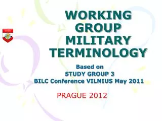 WORKING GROUP MILITARY TERMINOLOGY