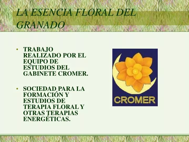 la esencia floral del granado