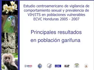 principales resultados