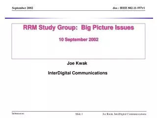 RRM Study Group: Big Picture Issues 10 September 2002