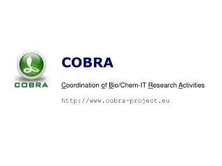 COBRA C oordination o f B io/Chem-IT R esearch A ctivities cobra-project.eu