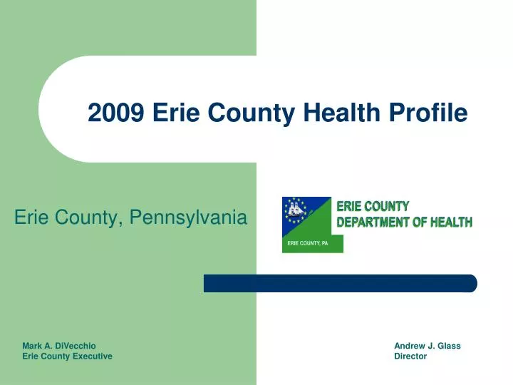 2009 erie county health profile