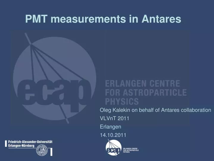 pmt measurements in antares