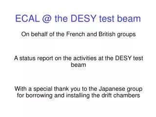 ECAL @ the DESY test beam