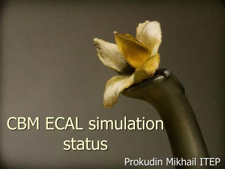 cbm ecal simulation status
