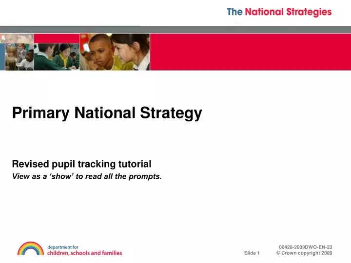 primary national strategy