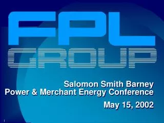 Salomon Smith Barney Power &amp; Merchant Energy Conference May 15, 2002