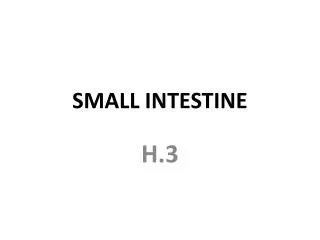 SMALL INTESTINE