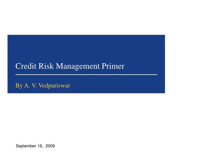 credit risk management primer