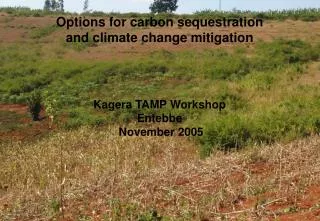 Options for carbon sequestration and climate change mitigation