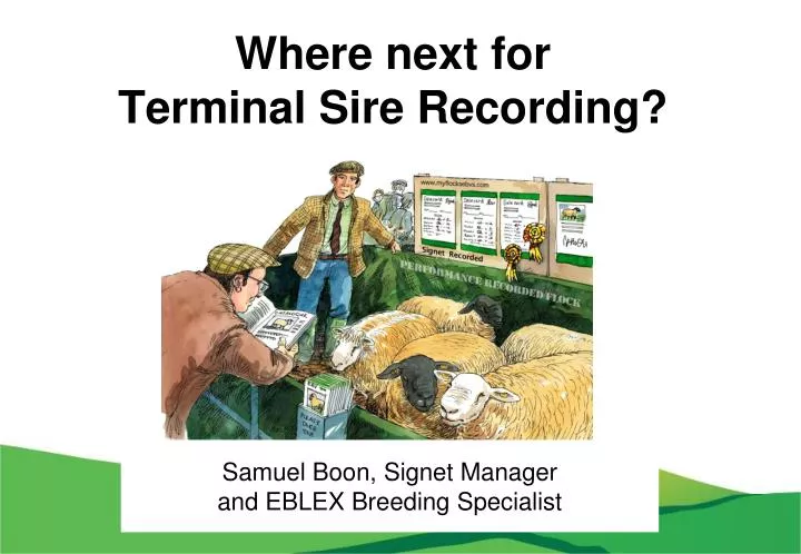 where next for terminal sire recording