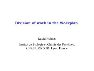 Division of work in the Workplan