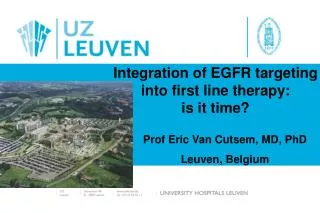 Integration of EGFR targeting into first line therapy: is it time?