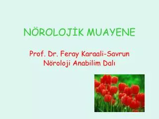 n roloj k muayene