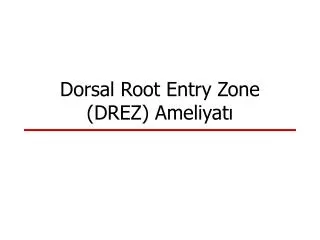 dorsal root entry zone drez ameliyat