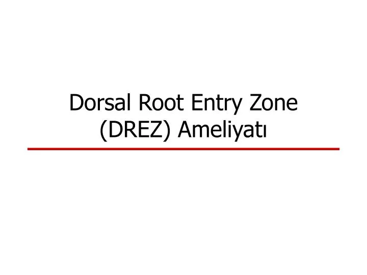 dorsal root entry zone drez ameliyat