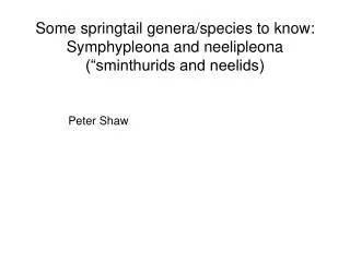 Some springtail genera/species to know: Symphypleona and neelipleona (“sminthurids and neelids)