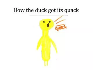 How the duck got its quack