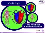 KS4 Biology - slide 1
