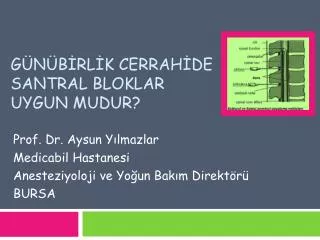 g n b rl k cerrah de santral bloklar uygun mudur