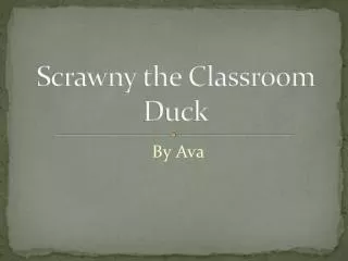 Scrawny the Classroom Duck