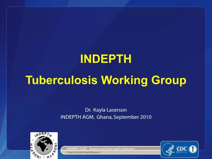 indepth tuberculosis working group