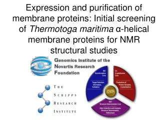 The membrane proteome of T. maritima