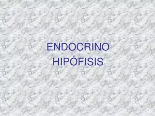 endocrino hip fisis